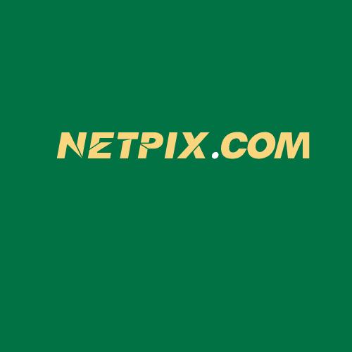 Logo da NETPIX